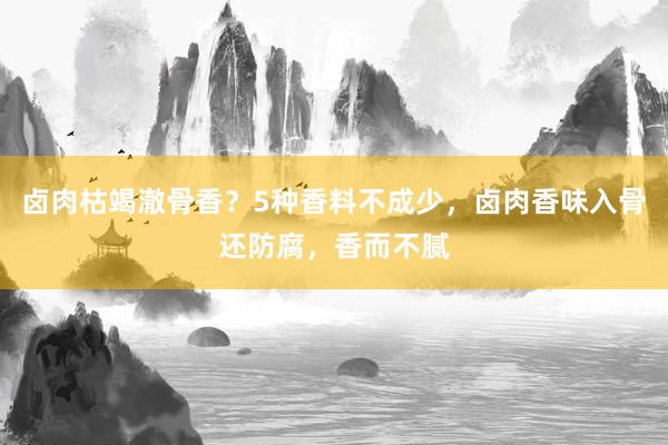 卤肉枯竭澈骨香？5种香料不成少，卤肉香味入骨还防腐，香而不腻