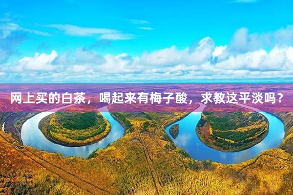 网上买的白茶，喝起来有梅子酸，求教这平淡吗？